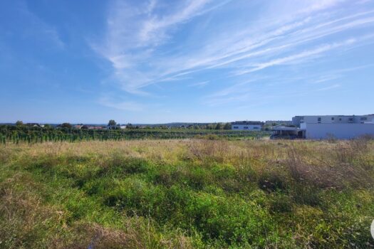 2grh5zkZ8qfHHchcGJNG5o