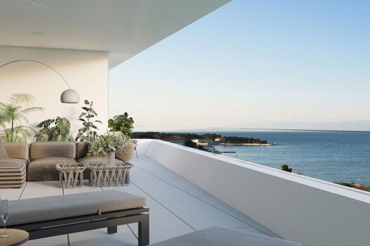 3637GGGoEYADXC2kk0XLzv