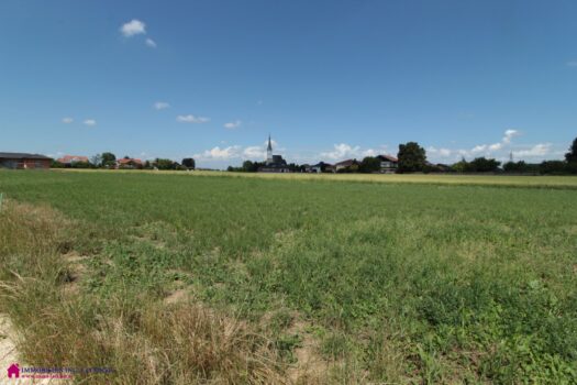 3TtGt0LaishYxYXBqcID5g