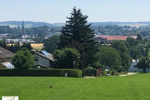 4R2GgWJn9pGo22Zpqp0nPN