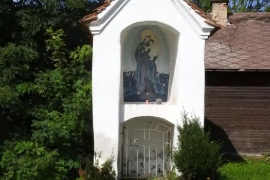 6DLWjeB8bxW0GWY4qgHIlG