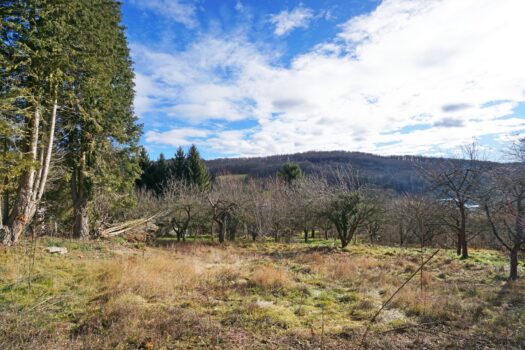 ARb1NzNBzfHyLOOoKeED1