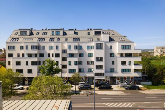 mM2qPIPbAace0DNKfzUIo