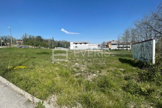 1651227902 photo 2022 04 28 15 17 49 1