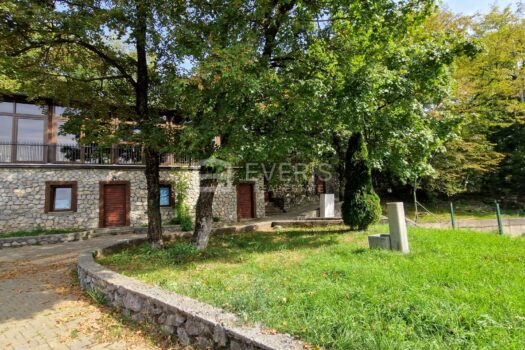 1696940851 20231010 124253