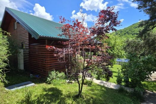 1716552619 whatsapp image 2024 05 23 at 11