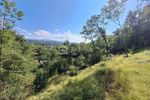 1723109373 20240808 100226