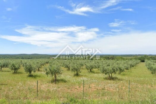 1726043754 street view slika