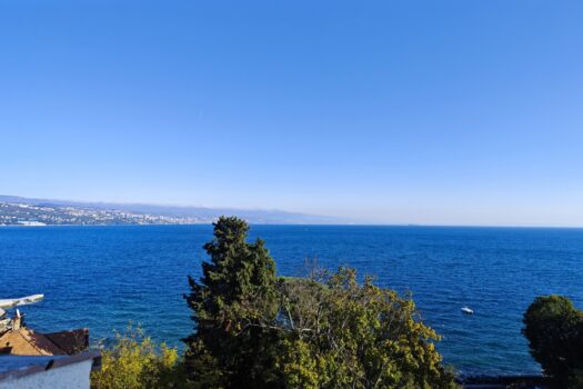 1731665543 img 20241113 135255