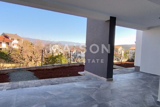 1738579392 img 20250130 113301