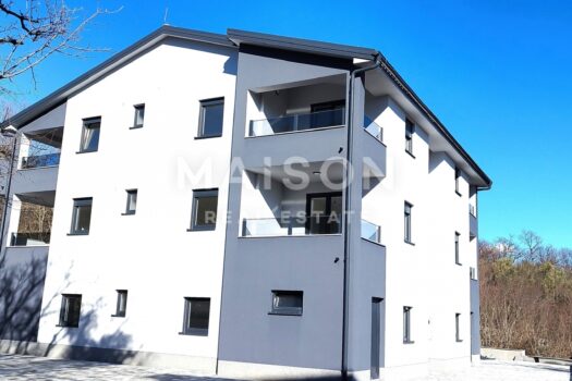 1738666025 img 20250130 123812