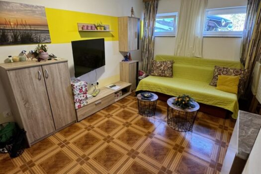 1738847389 1000021274