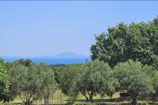 1739960552 1000022579