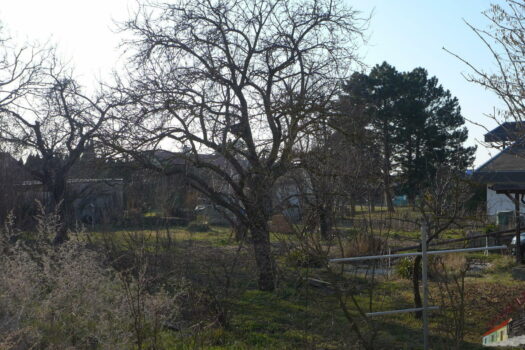 Grundstück in Pottendorf zu verkaufen Garten
