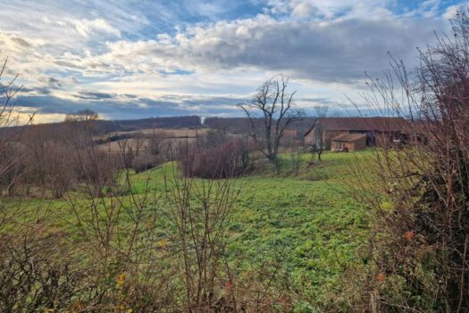 Anwesen bei Ćazma 10.000 m2 - 7