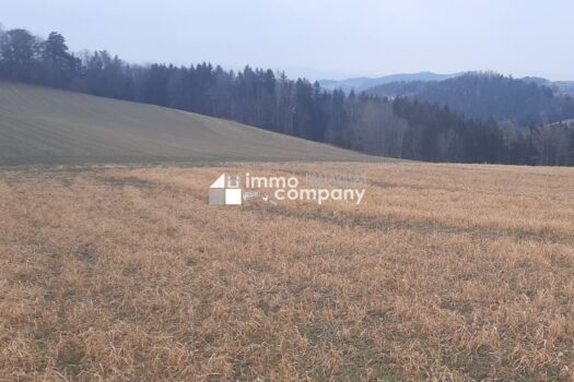 3AatWp8EvN0LiMadAaWl8T