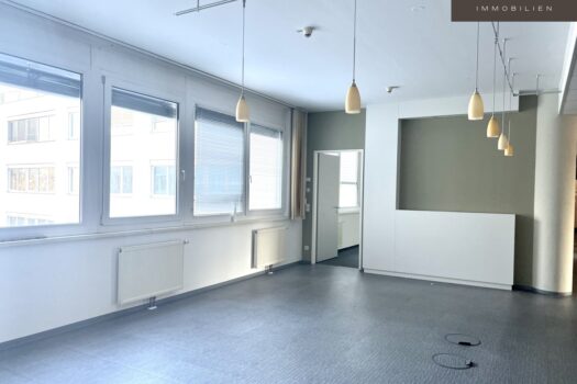 5PjKJVom5EcpNHK2SgZi5V