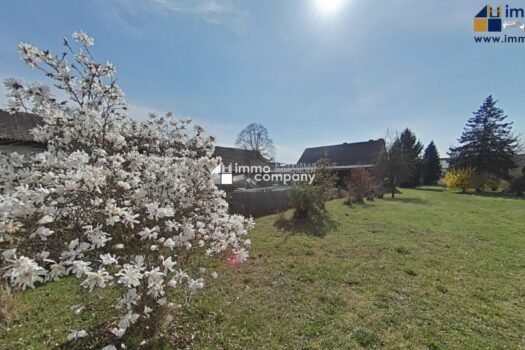 5xBe97tLRzYSD5aLGuBMjL