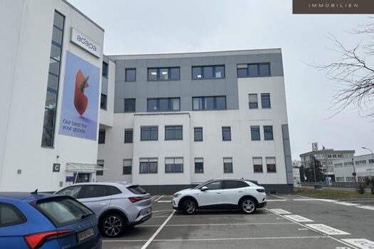 6WsWQvHdiO4cXYukOyO38Y