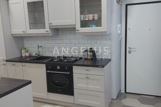 1680694115 20230404 123650 resized 1