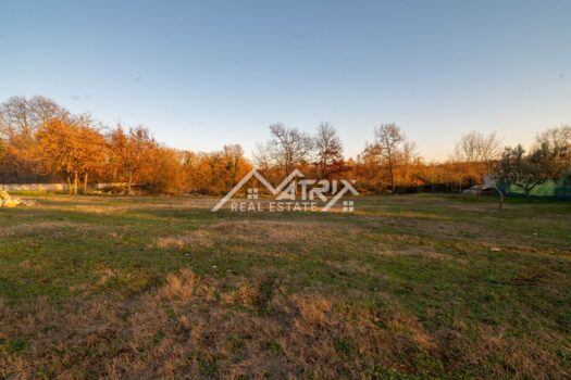 Novigrad Umgebung, Baugrundstück 750 m2 1704832977 dsc 0279