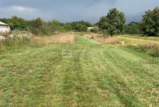 1732442446 zemljista slika 230156085