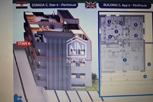 1738838036 1000005989