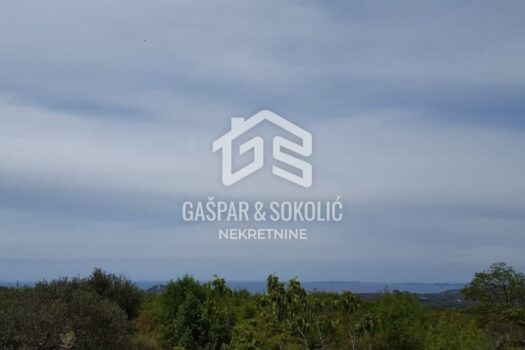 1740886214 865211769 258978 0