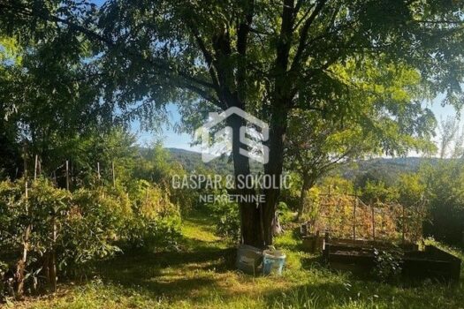 1740890540 286272509 259052 0