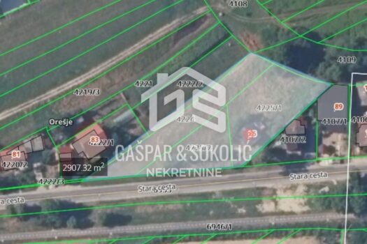 1740915008 675401029 259469 0