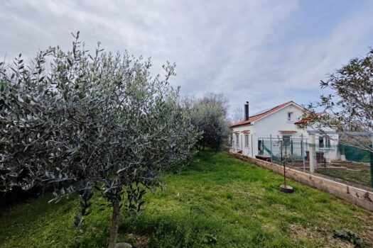 1740937129 img 20250301 114555