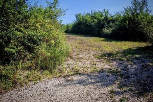 1741025934 1000023679