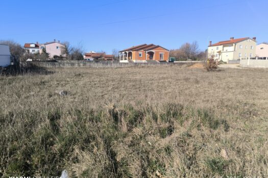 1741165662 1000023796