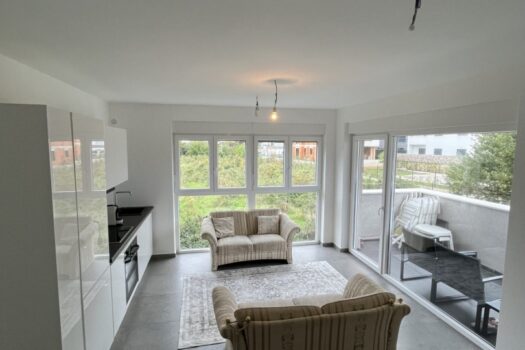 1741178960 stan medulin 58