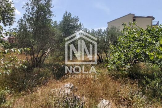 1741337570 sonja zemlja 4