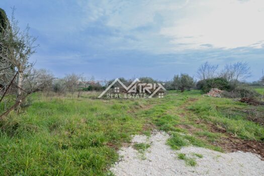 1741549686 mm 5 of 18