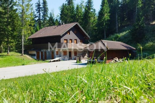 Selbstversorgende Blockhütte in Gorski Kotar auf einem 20.000 m2 großen Grundstück 1741954917 img 20240729 wa0009