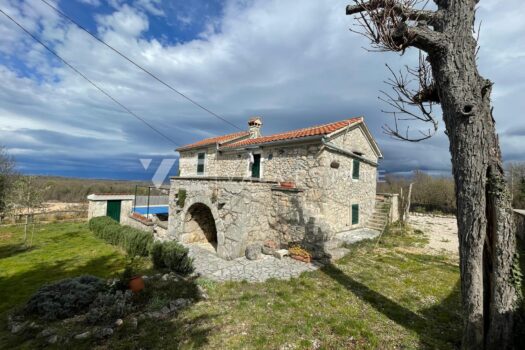 1742375204 img 20250315 wa0000