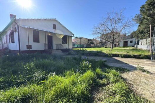 1742461177 1000025644