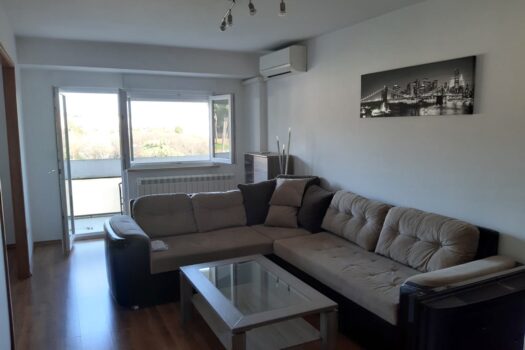 1742547982 1000025819