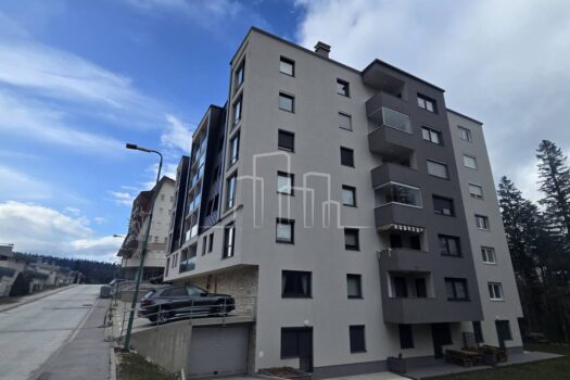 1742664545 1000120019