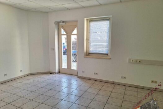 IMG-20250225-WA0008 - Kopie