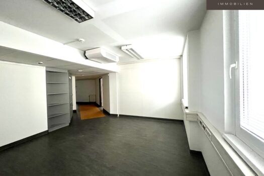 1UFiZIC4yV5hWnWpSuaiMS