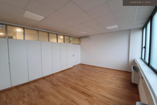 2WobXxDo2sjMBfUywWZ8kU