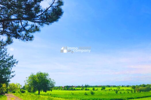 31VeqGUOUpqF5ljugb61Yf