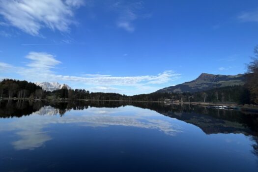 3JdUG1EGKSXqP1H8BFjc7y 1