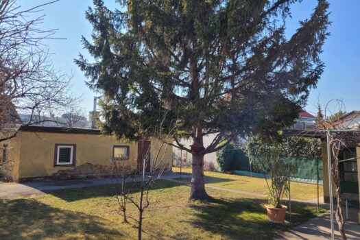 5Gif9JJAueG707kYgLc6C3