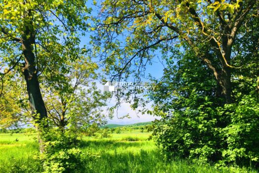 Baugrund 2 in Höhenlage am Naturschutzgebiet  5P86XsU1ABGzKIxZmHXcrq