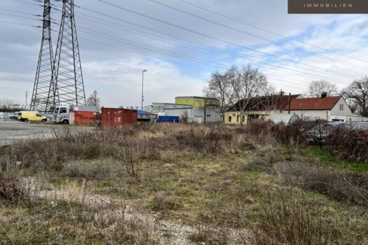 5j0O6mdpqw4b7fES0iu1lX