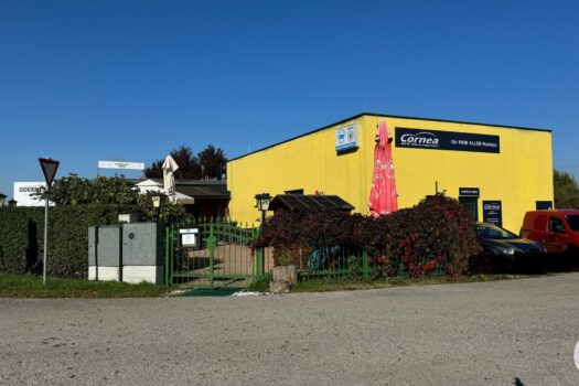 5joNPxLlyUWp2xoibeXA6p